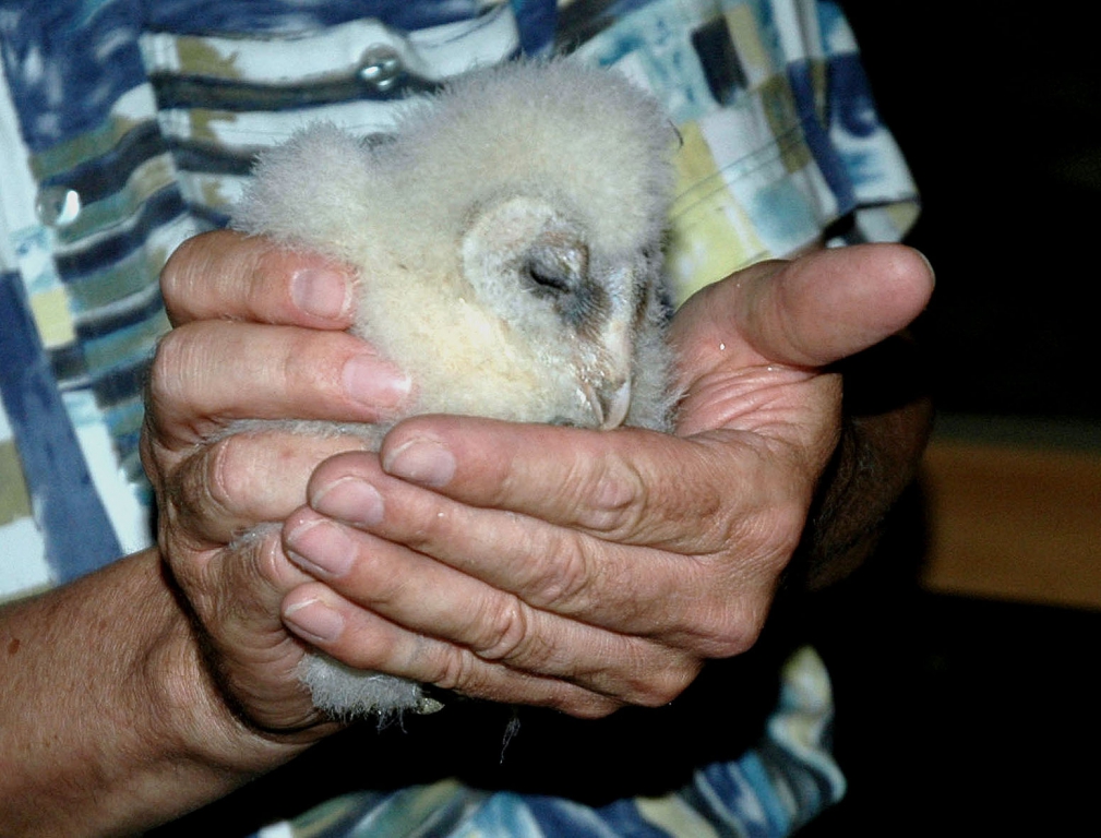 DSC_6087
