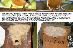 Kleiber-01_großformat